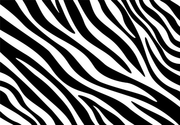 Zebra Print Patterns for Graphic Design Projects